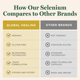 Global Healing Center etiqueta y lista de características sin gluten ni OMG beneficias