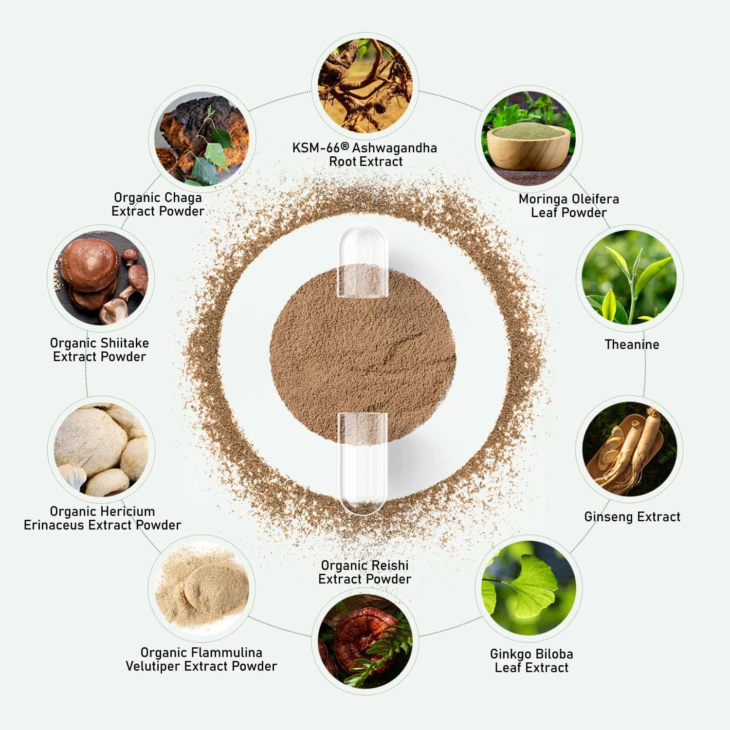 Detalle de etiqueta GlowEver con ingredientes estandarizados y beneficios claros