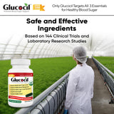 Glucocil etiqueta de ingredientes mostrando berberina y composición
