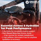 Gnarly Nutrition etiqueta con lista de aminoácidos y certificación NSF Contents
