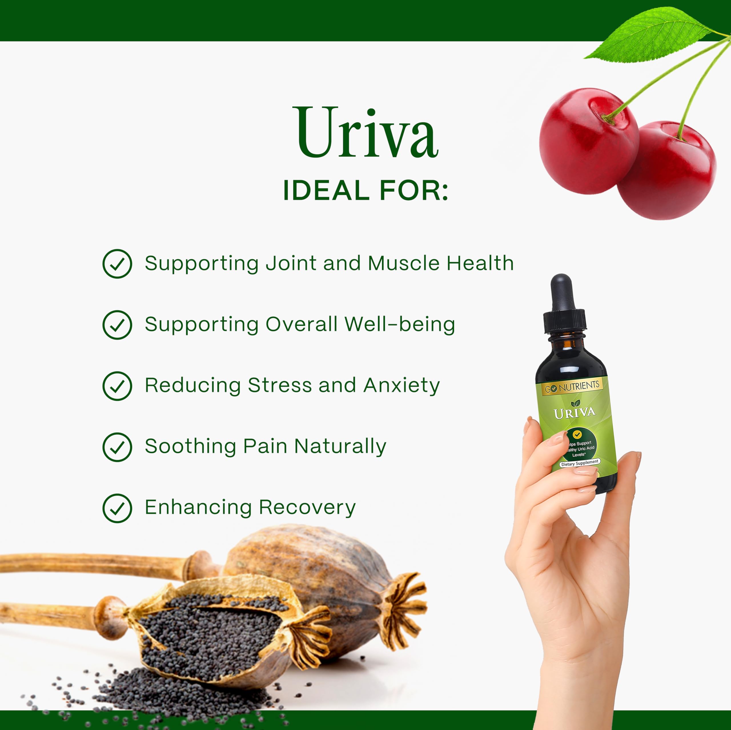 Go Nutrients ingredientes clave cereza ácida semilla de apio cúrcuma