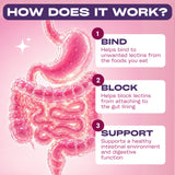 GOBIOTIX ingredientes en polvo resaltando apoyo a la mucosa intestinal