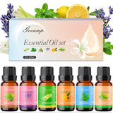 Gooamp vista frontal del set de seis aceites para difusor, variedad y conveniencia