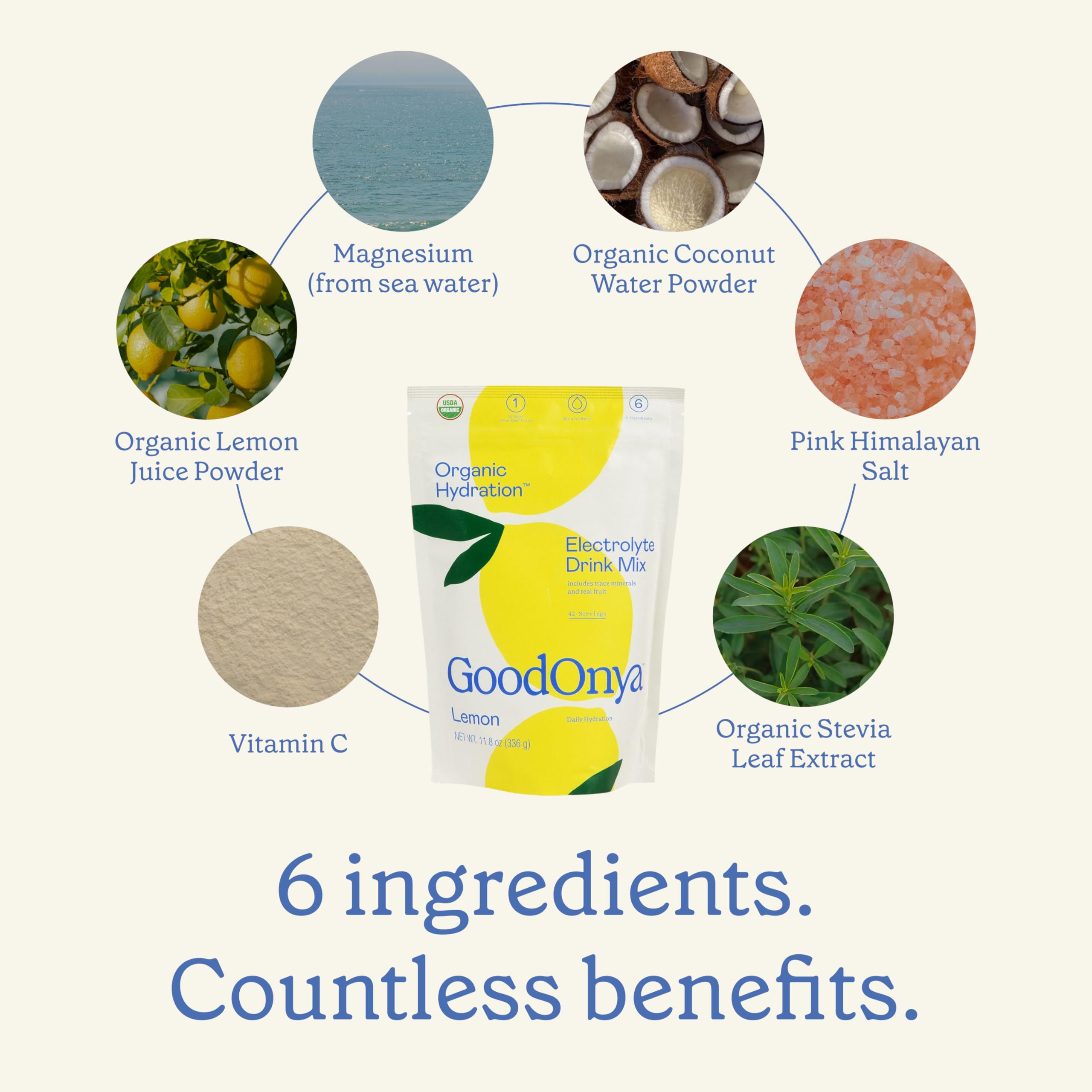 GOODONYA ingredientes orgánicos en tabla, muestra de fruta real y sal
