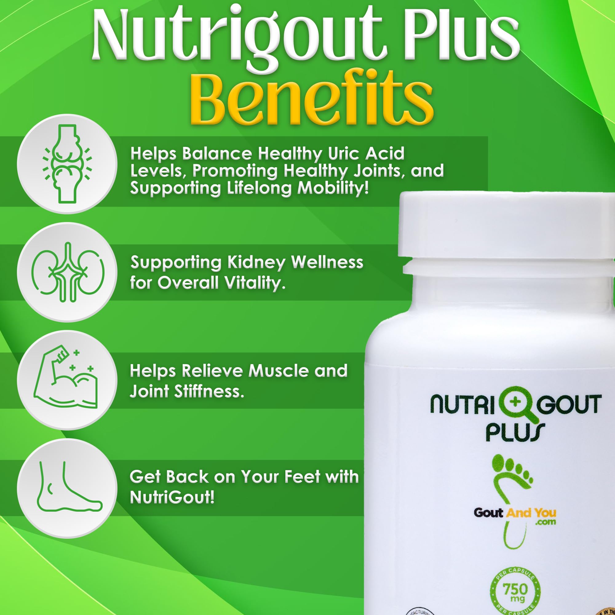 Gout and You cápsulas en primer plano detalle, transparencia de ingredientes
