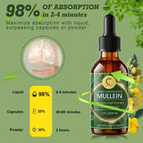 GPGP GreenPeople hojas de mullein en primer plano, muestra origen botánico y pureza