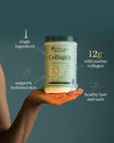 Great Lakes Gelatin cucharada con porción clara que ayuda control de raciones