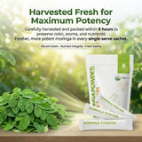 Green Virgin Products sello USDA Organic visible, confianza en certificación orgánica