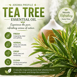 GreenHealth aceite en difusor emitiendo vapor, mejora ambiente con aroma herbal