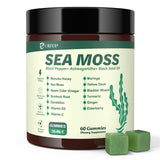 GREVIP frasco frontal de Sea Moss Gummies mostrando etiqueta clara y beneficios