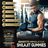 Grevol ingredientes naturales como ashwagandha jengibre y shilajit, perfil completo