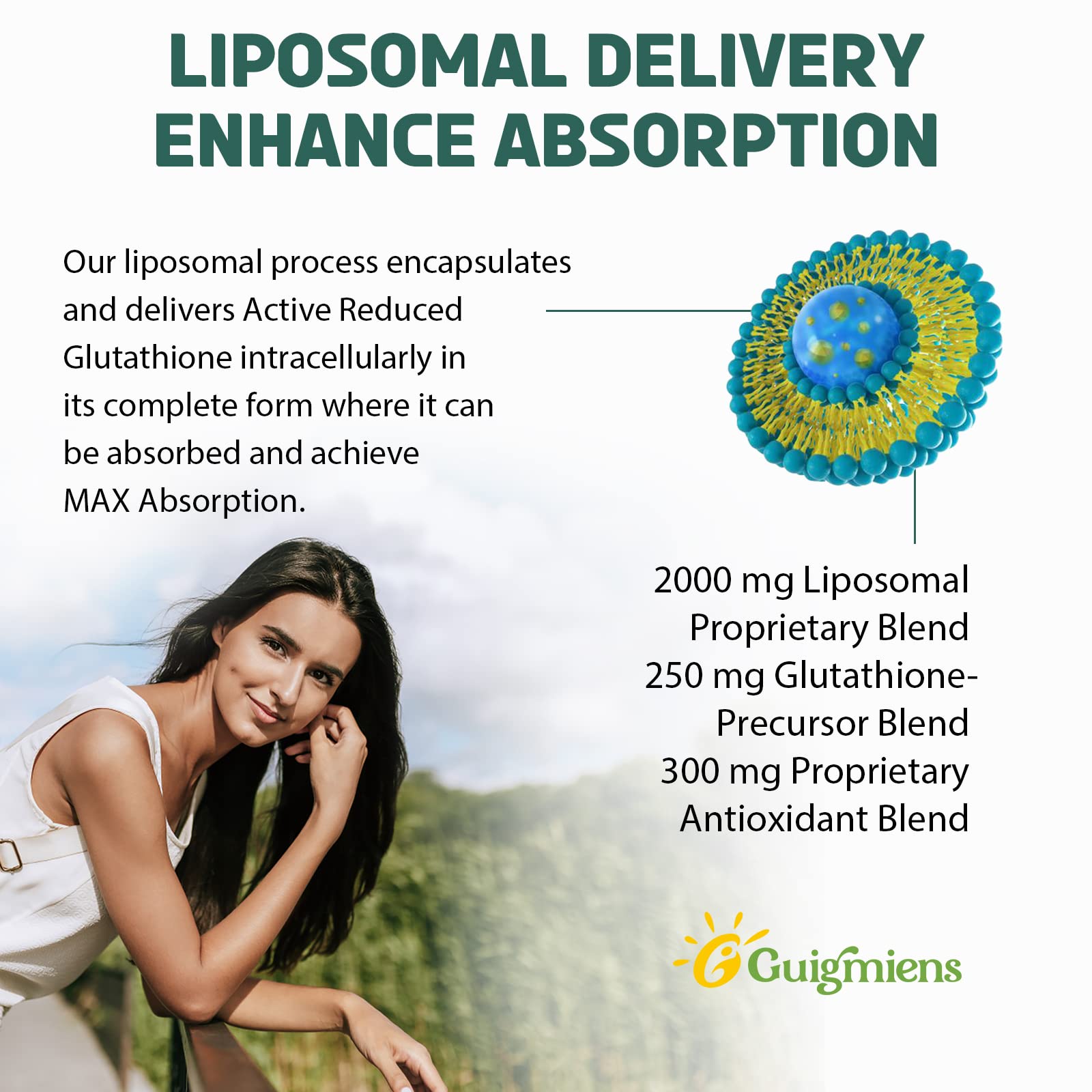 Guigmiens ilustración de liposomas mostrando mayor protección y absorción