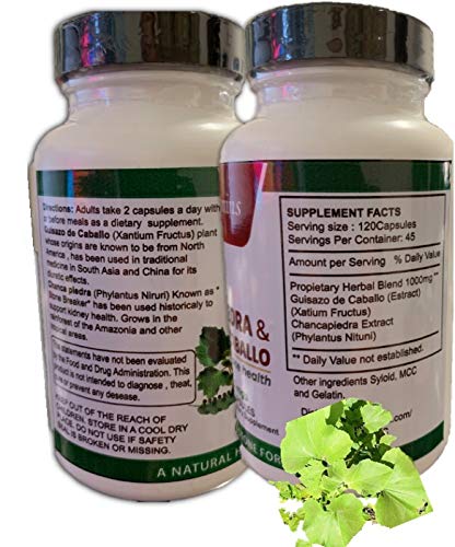 guizazo plus etiqueta con información nutricional y modo de uso claro