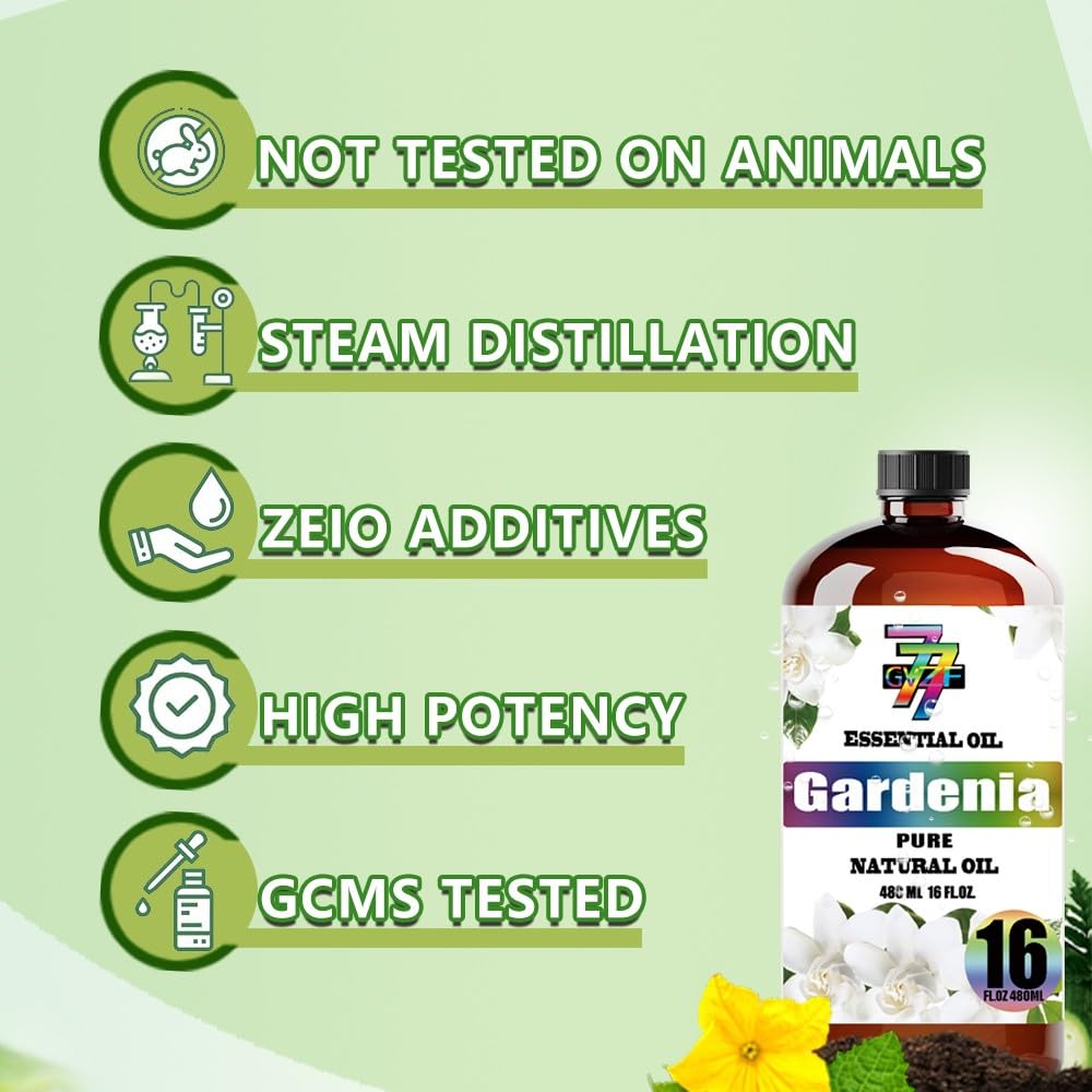 GV77ZF botella junto a objetos para apreciar su tamaño y valor