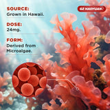 GZ HAOYUAN imagen de ingredientes: microalga Haematococcus y licopeno ilustrados