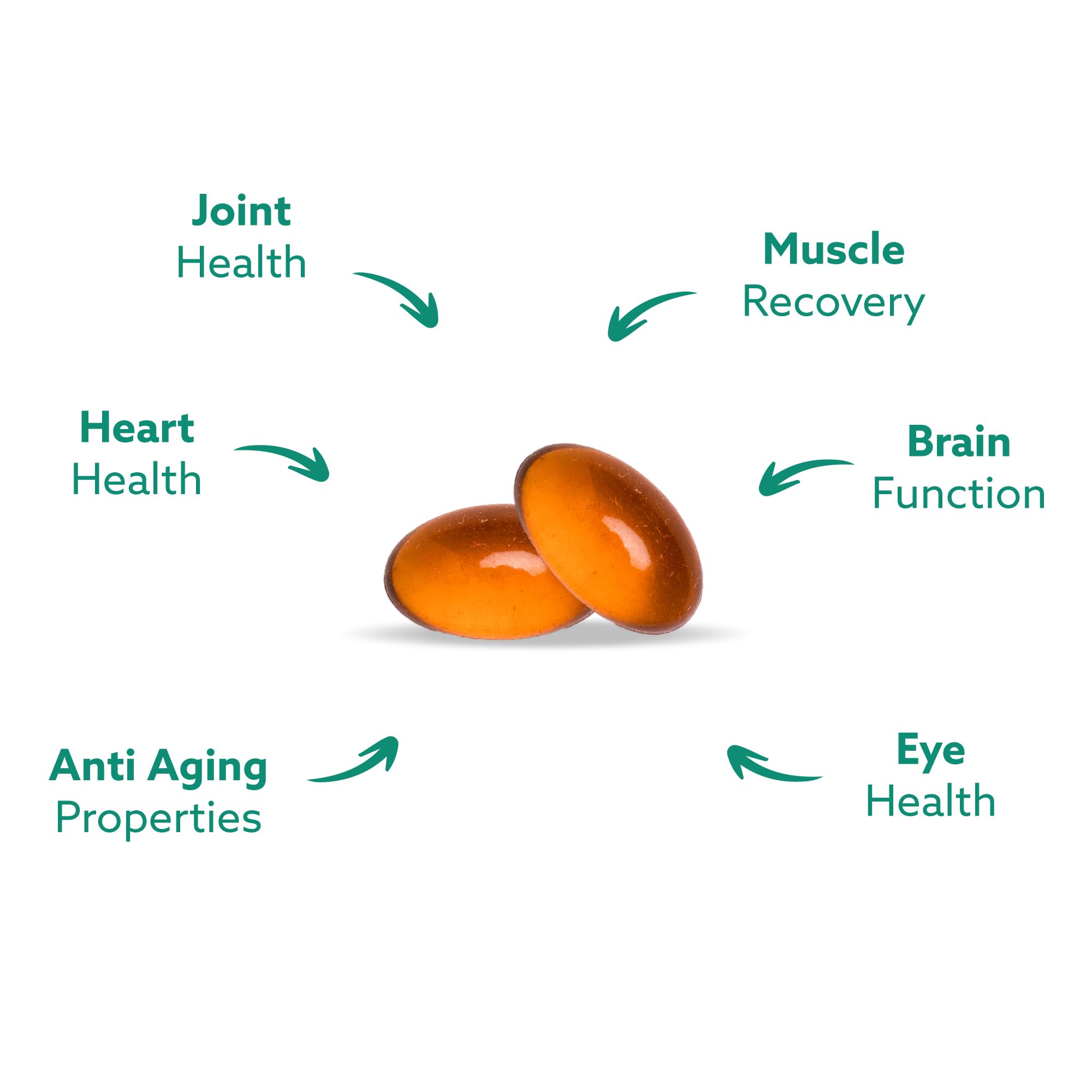 HAKA Life Nutrition cápsulas junto a moneda para comparar tamaño y facilidad