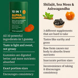 hanachi etiqueta de ingredientes con foco en Shilajit, fulvic acid y minerales traza