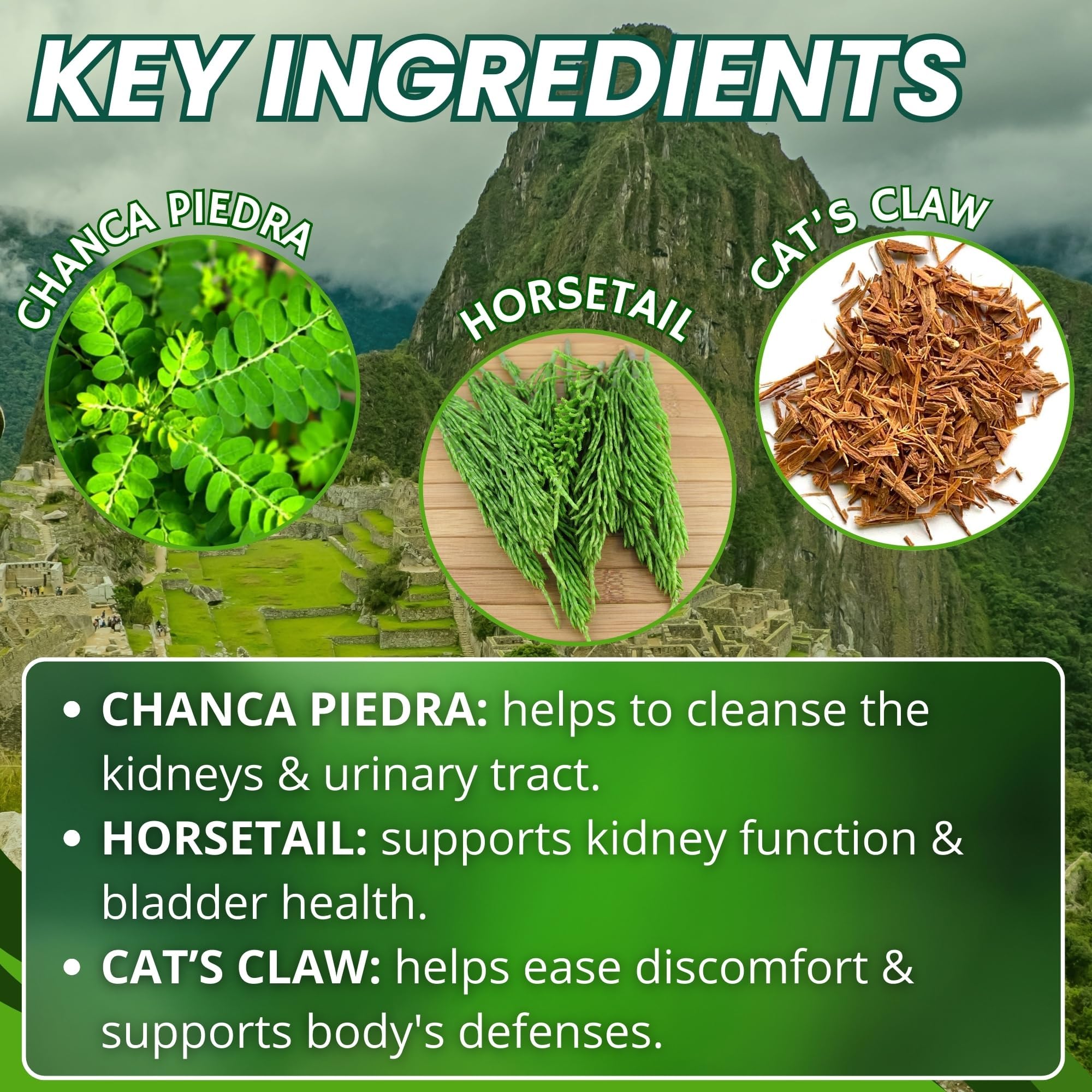 Hanan Riñosan chanca piedra y plantas resaltando origen peruano