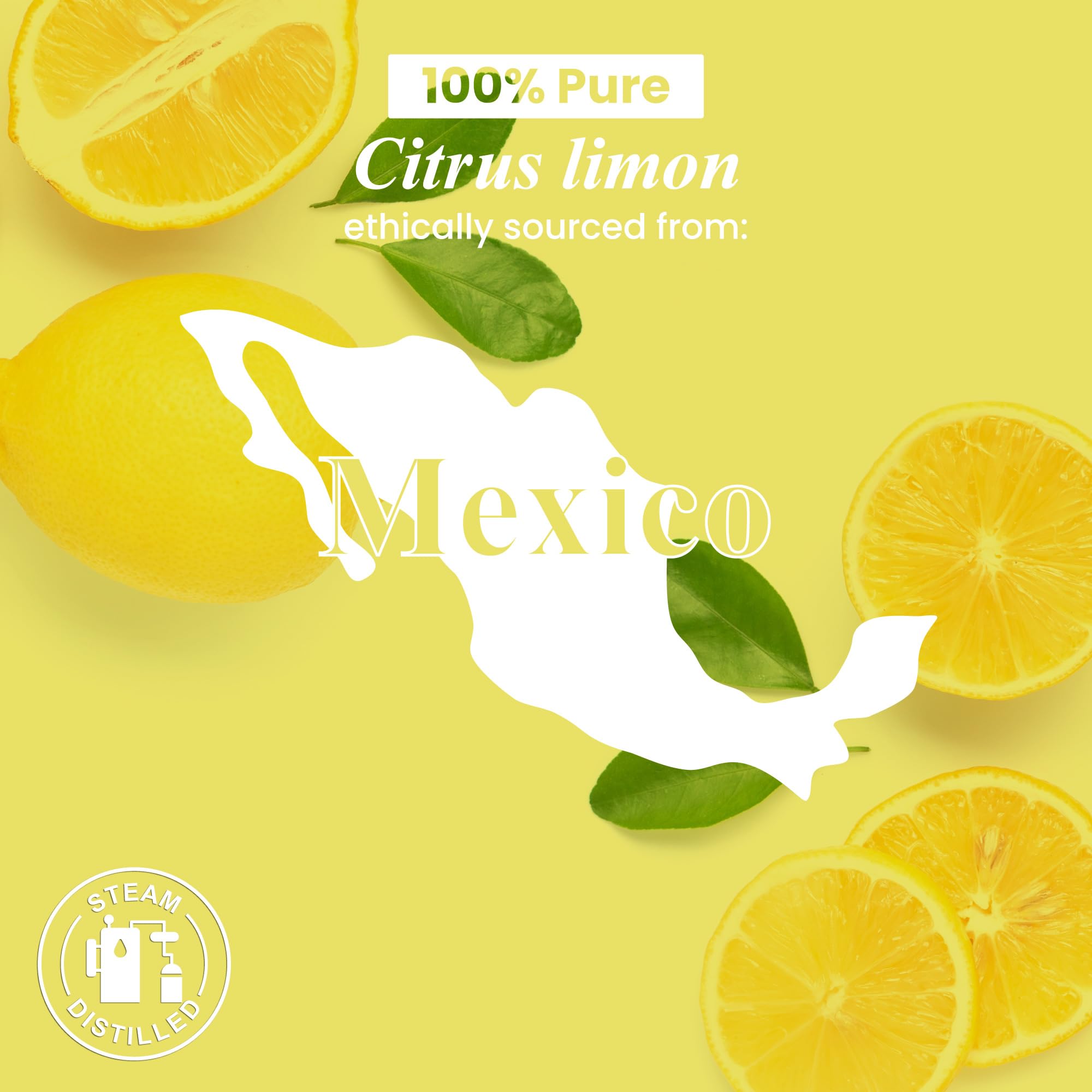 Handcraft Blends comparación de tamaño 30 ml mostrando proporción para uso diario