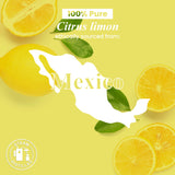 Handcraft Blends comparación de tamaño 30 ml mostrando proporción para uso diario