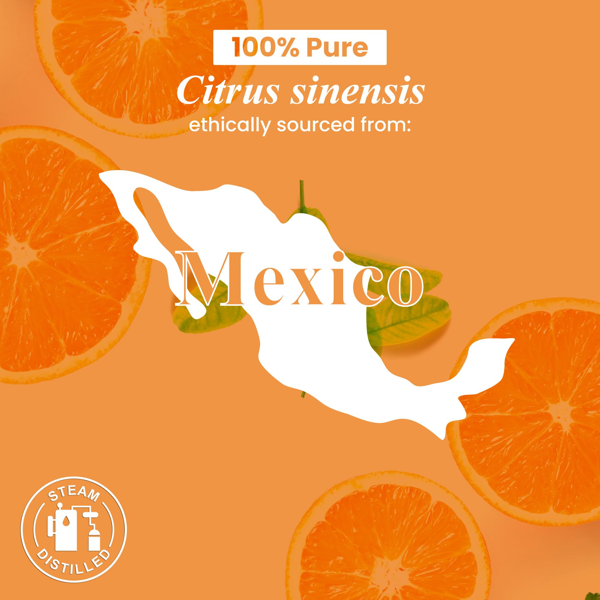 Handcraft Blends botella 1 fl oz junto a moneda, muestra tamaño real