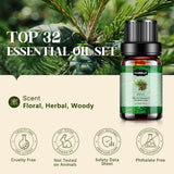 Hanolly frascos oscuros 5 ml mostrando protección contra la luz
