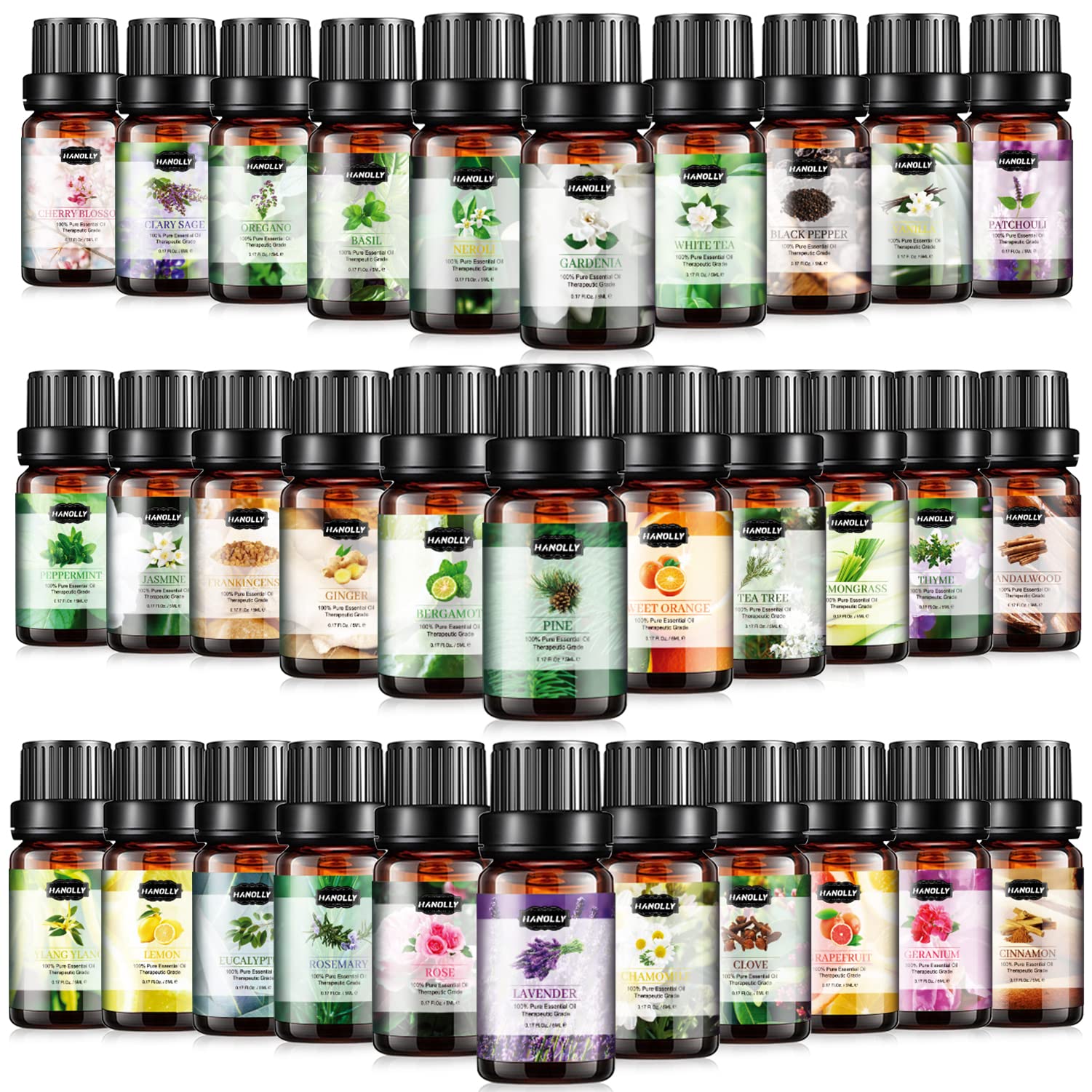 Hanolly caja abierta con 32 aceites esenciales, variedad lista para uso