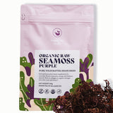 HAPPY FOX bolsa frontal del Sea Moss Purple mostrando tamaño y color, fácil identificación