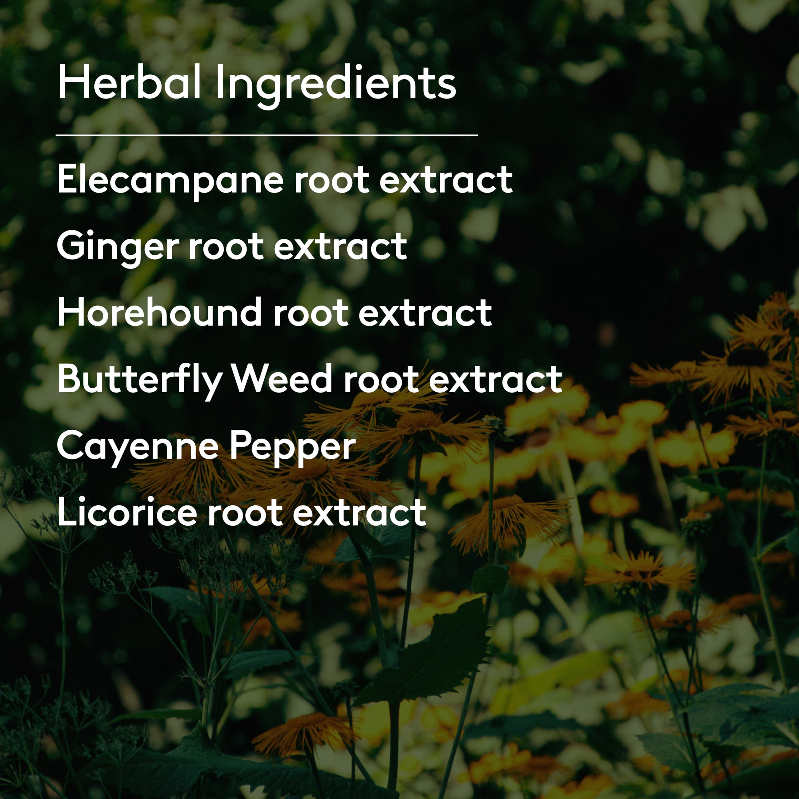 Harker Herbals botella mezclada en té tibio para uso cotidiano