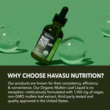 HAVASU NUTRITION frasco de 60 ml comparado para referencia de tamaño