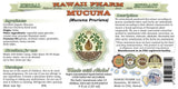 Hawaii Pharm primer plano de semillas secas de Mucuna mostrando textura y origen natural