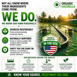 HCL HERBAL CODE LABS cápsulas abiertas, ver contenido vegetal interno