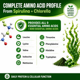 HCL HERBAL CODE LABS cápsula junto a monedas para referencia de tamaño