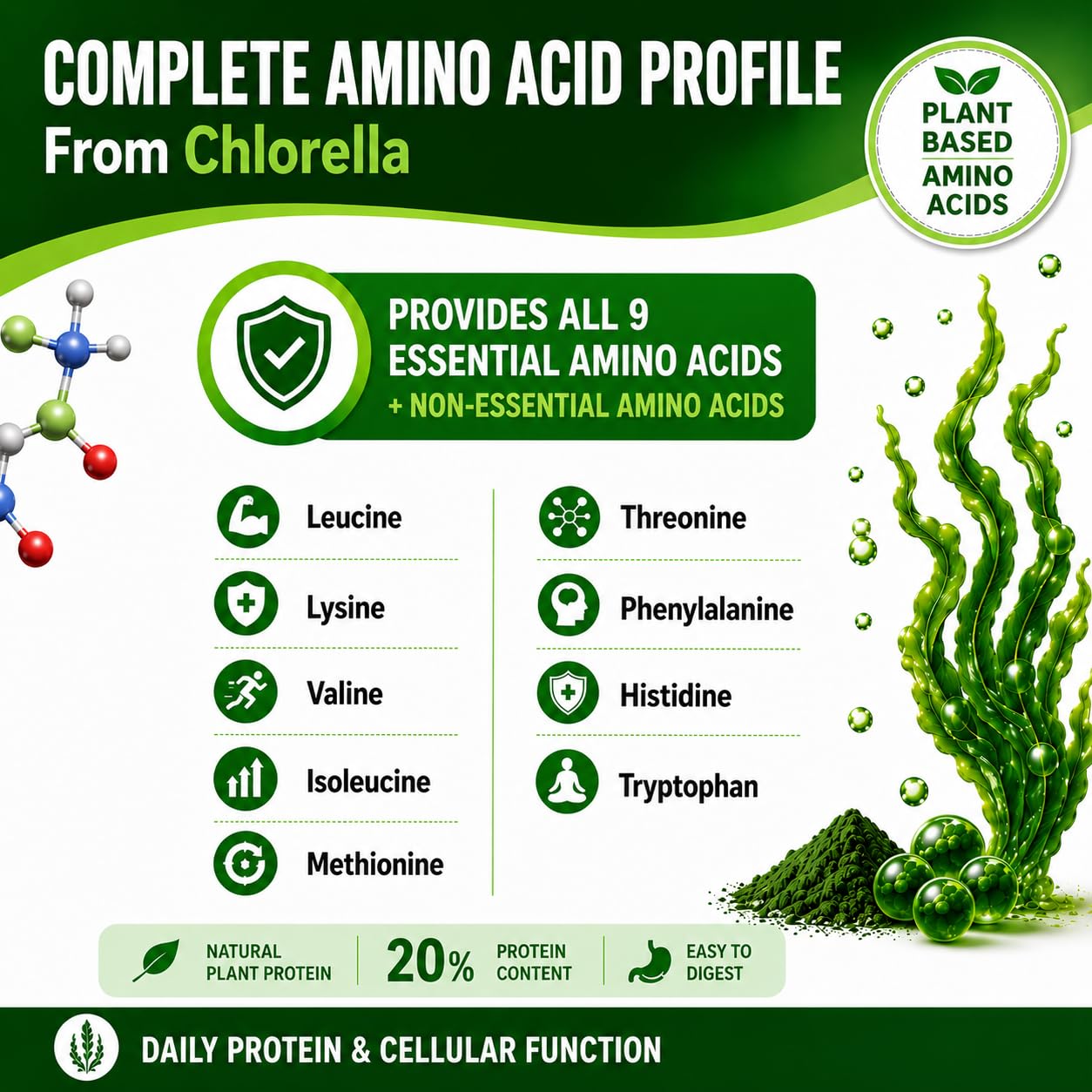 HCL HERBAL CODE LABS en cocina, integración diaria en estilo de vida