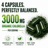 HCL HERBAL CODE LABS etiqueta, información de ingredientes y dosis