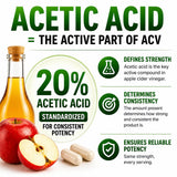 HCL HERBAL CODE LABS ingredientes naturales jengibre cayena canela beneficiando biodisponibilidad
