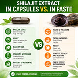 HCL HERBAL CODE LABS embalaje ecológico y frasco para almacenamiento seguro