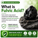 HCL HERBAL CODE LABS resina de Shilajit en primer plano mostrando pureza del extracto