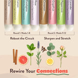 Healhaler aceites esenciales y ingredientes orgánicos enfatizando calidad natural