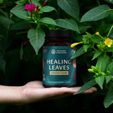 Healing Leaves finca regenerativa mostrando cultivo sostenible y trazabilidad