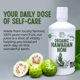 Healing Noni textura del jugo concentrado, ideal para añadir energía natural
