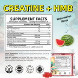 HEALOADING primer plano de textura de gomita, visual apetecible y consistente