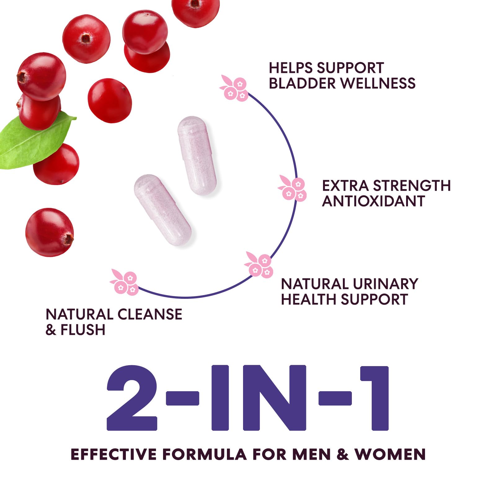 Health Nutrition Naturals arándanos orgánicos como complemento vegetal