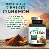 Comparación de tamaño de cápsula para Ceylon Cinnamon y escala práctica