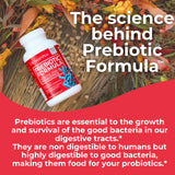 Health Plus estilo de vida mostrando bienestar y rutina diaria digestiva
