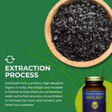 HealthForce SuperFoods cápsula en la mano mostrando tamaño práctico y portabilidad
