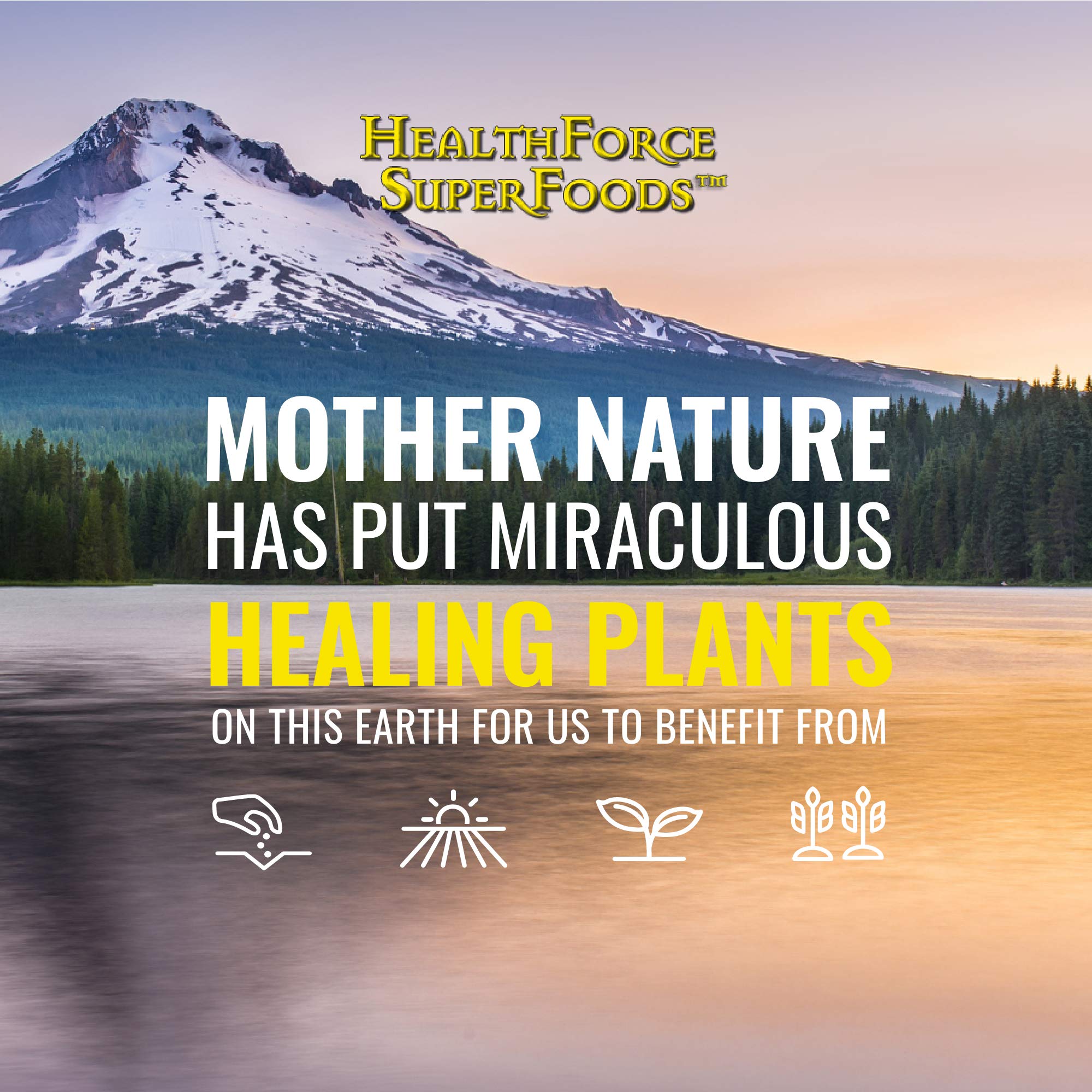 HEALTHFORCE SUPERFOODS cápsula en mano que muestra tamaño y conveniencia