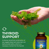 Healthforce Vitamineral Green primer plano de algas y hojas, muestra origen natural