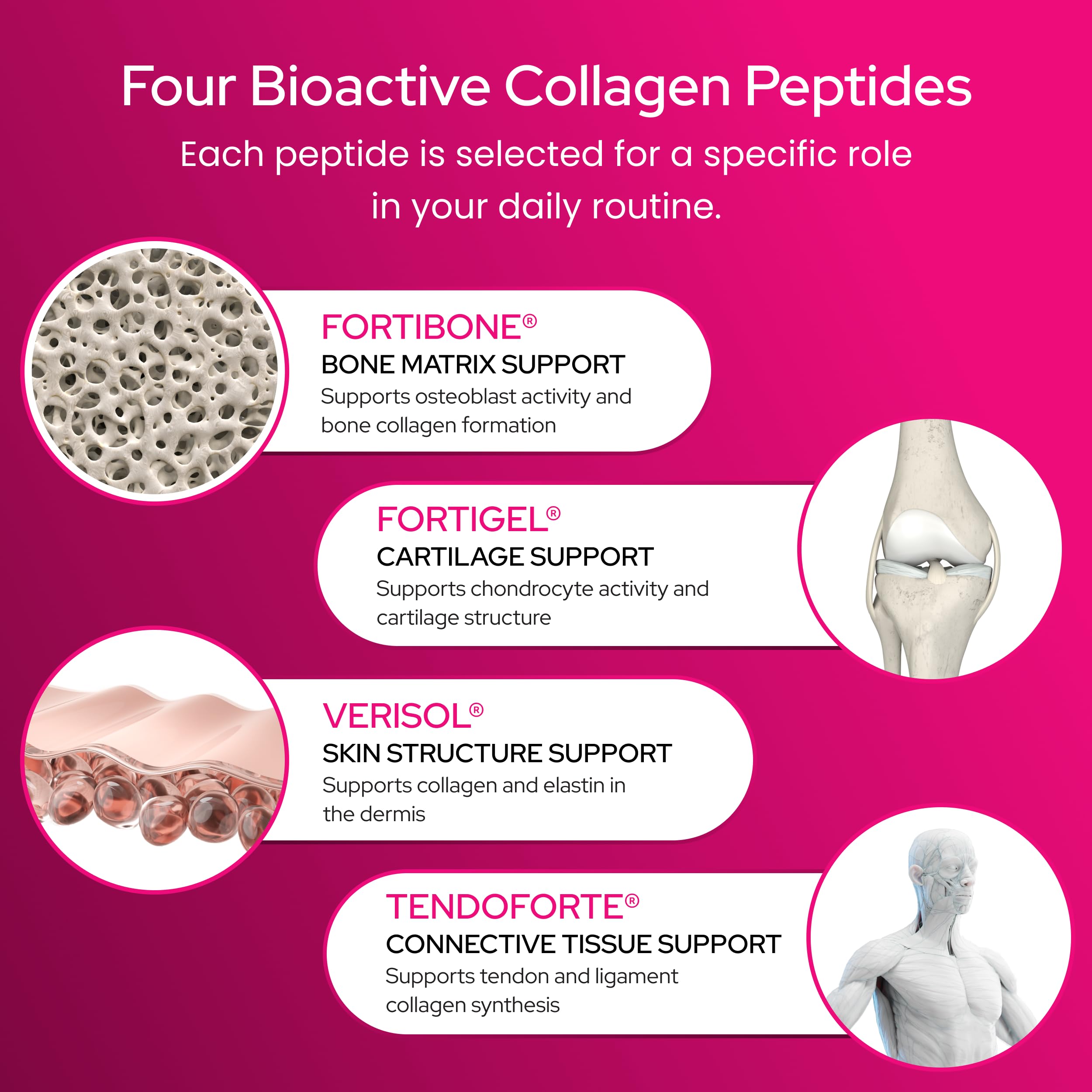 Healthy Bones Co. etiqueta con lista de ingredientes y péptidos patentados, transparencia