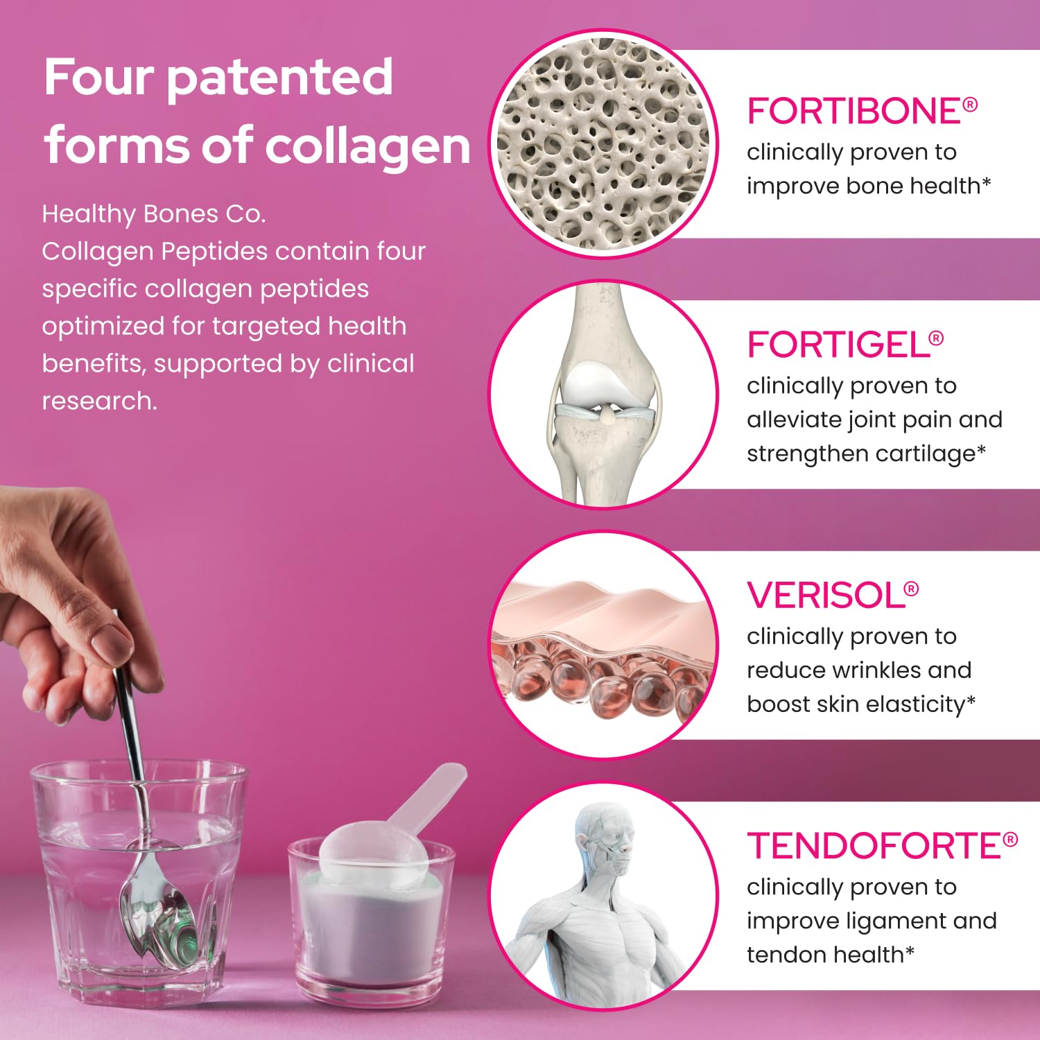 Healthy Bones Co. etiqueta con FORTIBONE FORTIGEL VERISOL TENDOFORTE visible
